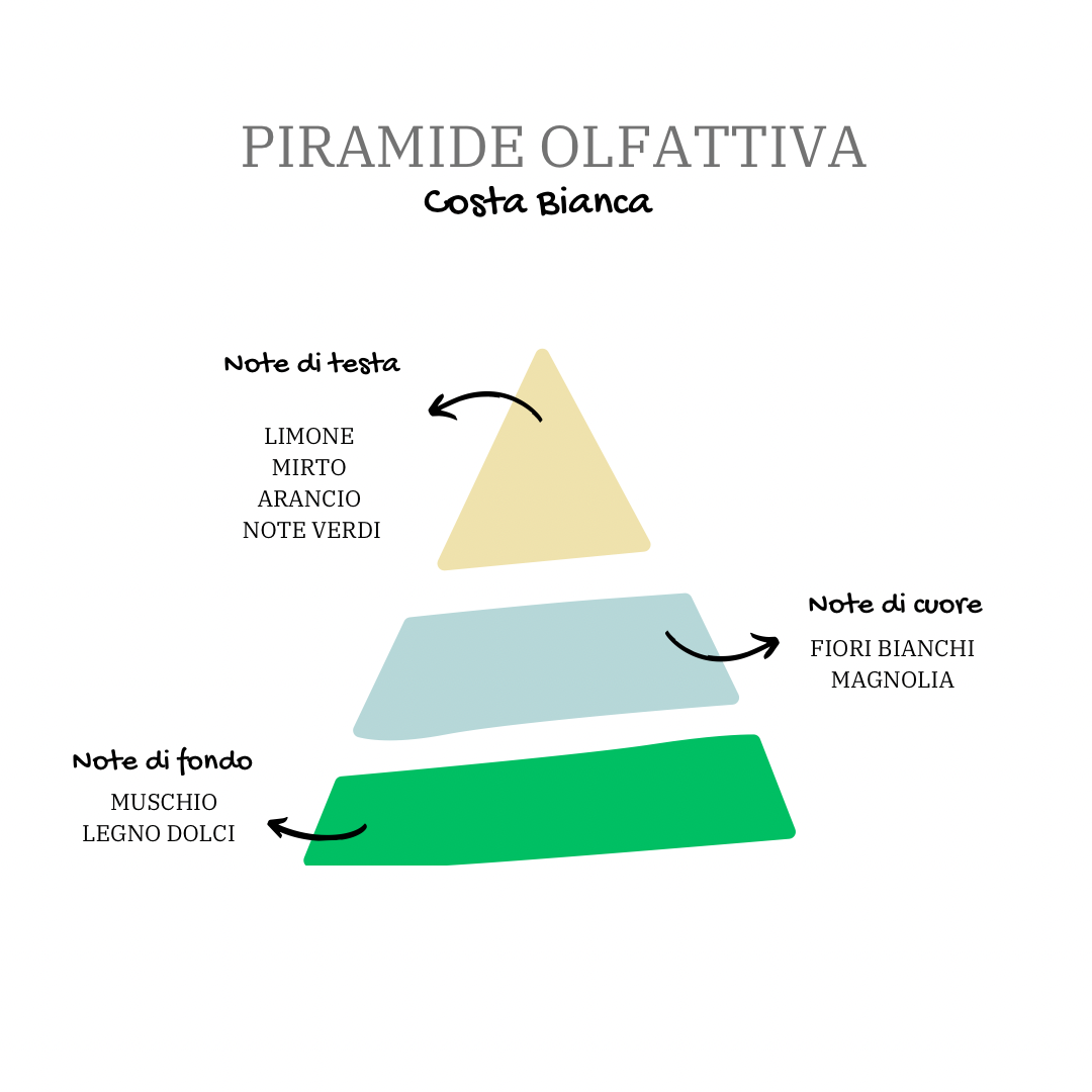 Immagine Piramide del Prodotto